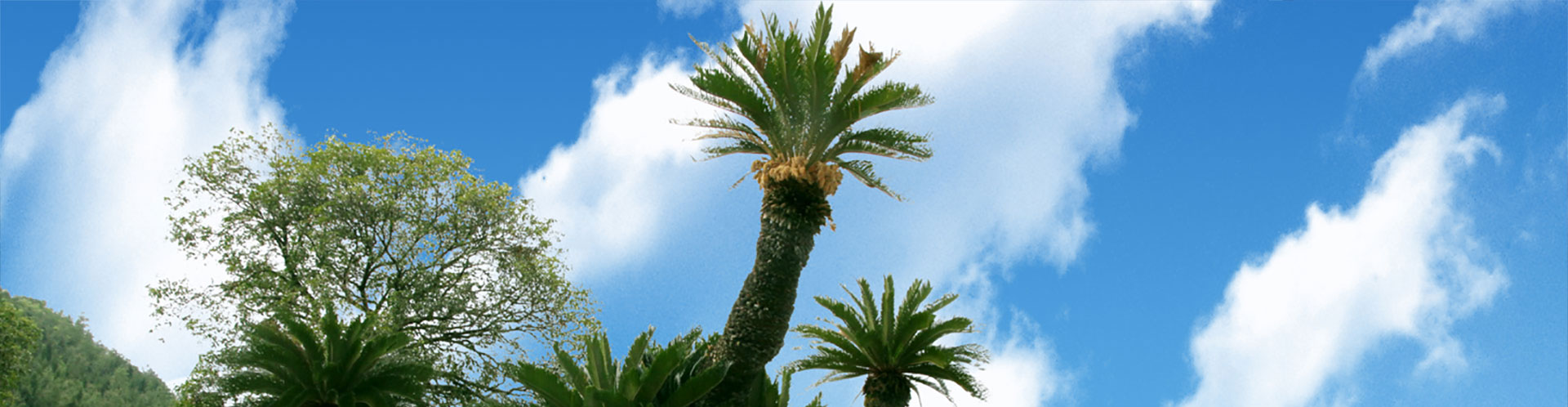 我命在我不在天 ，延長(cháng)生命從有機生活開(kāi)始。