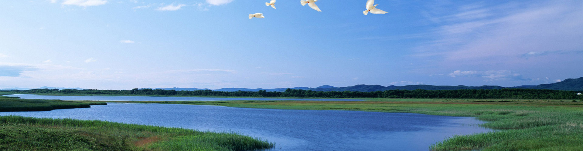 我們來(lái)于大自然，我們敬畏大自然，我們善待大自然。