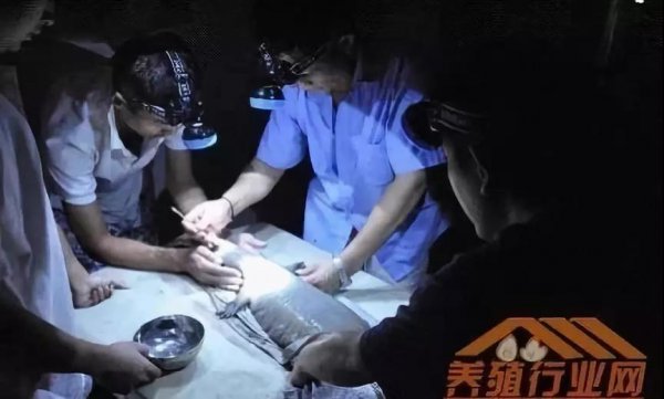 資本試水區塊鏈生物科技+大健康，場(chǎng)景應用時(shí)代已然來(lái)臨！