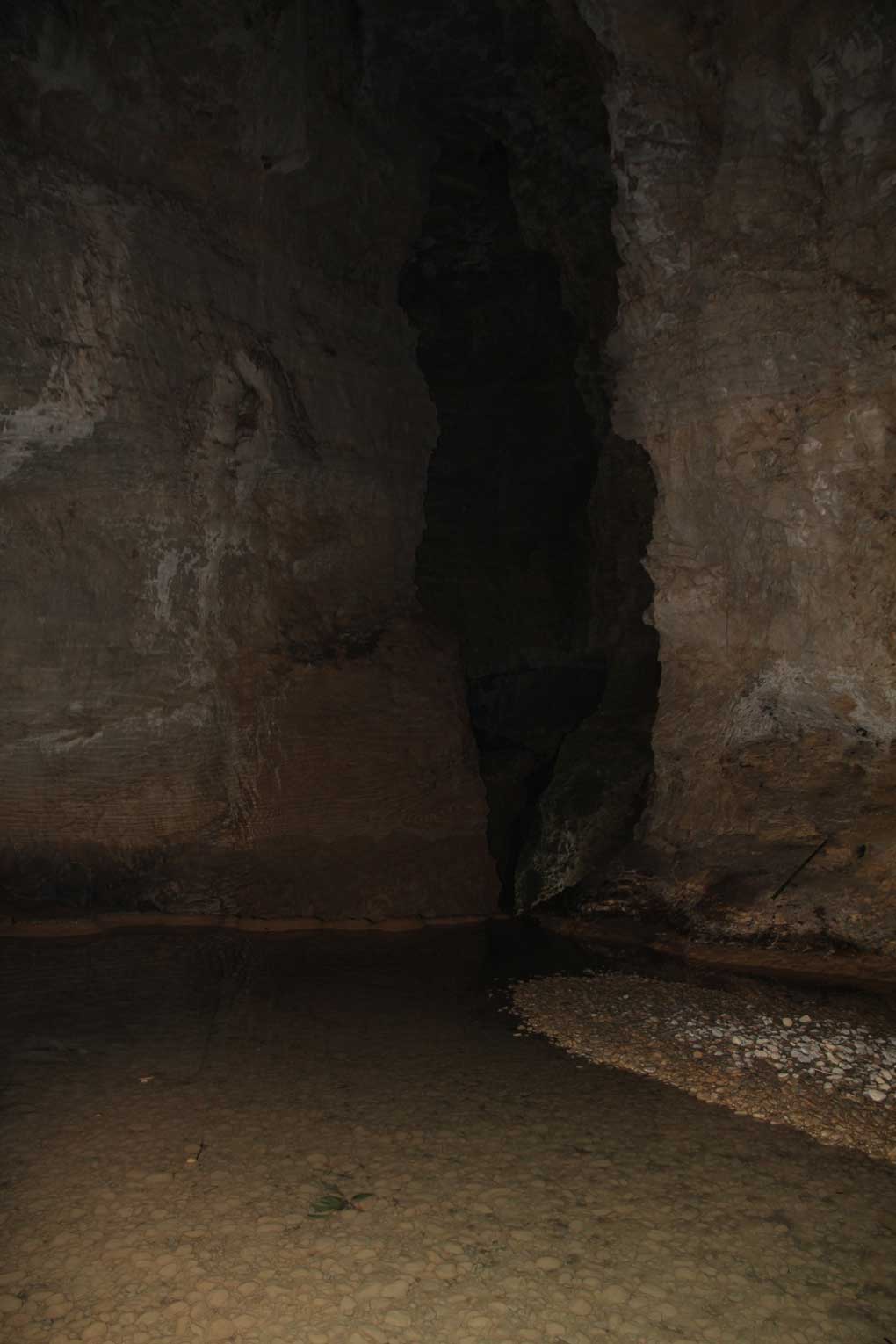 15404344537164.jpg 圖片3.jpg