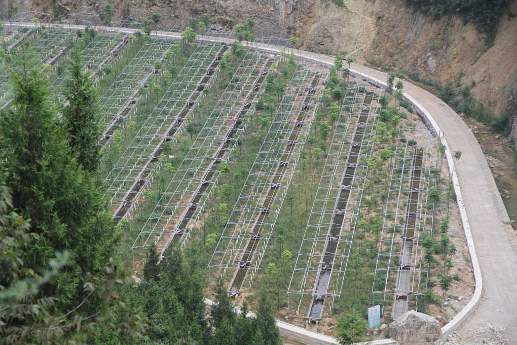 15404345474670.jpg 圖片8.jpg