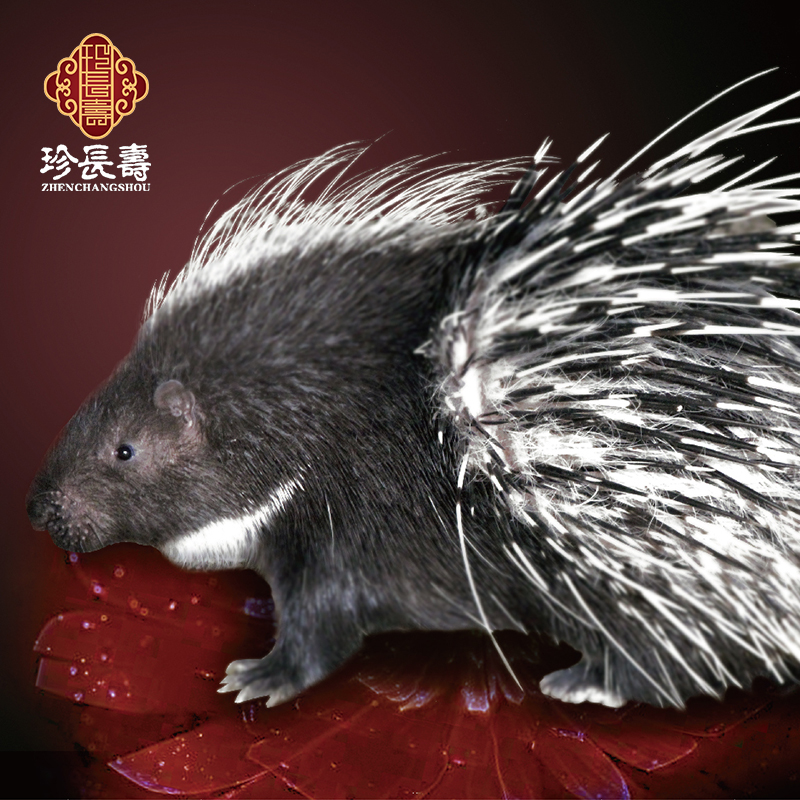 【有機認證】周身是寶，不是豬的“豬”（長(cháng)生淀基地年產(chǎn)量1萬(wàn)頭）