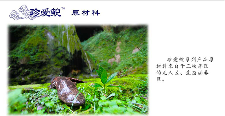 走魚(yú)妊娠紋修復套裝1_04.jpg
