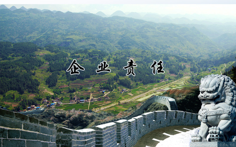 15421746071651.jpg 企業(yè)責任1.jpg